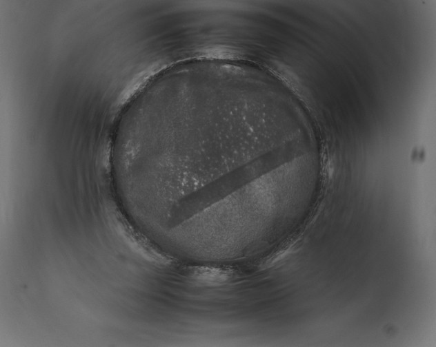 X0000111530347200907281408