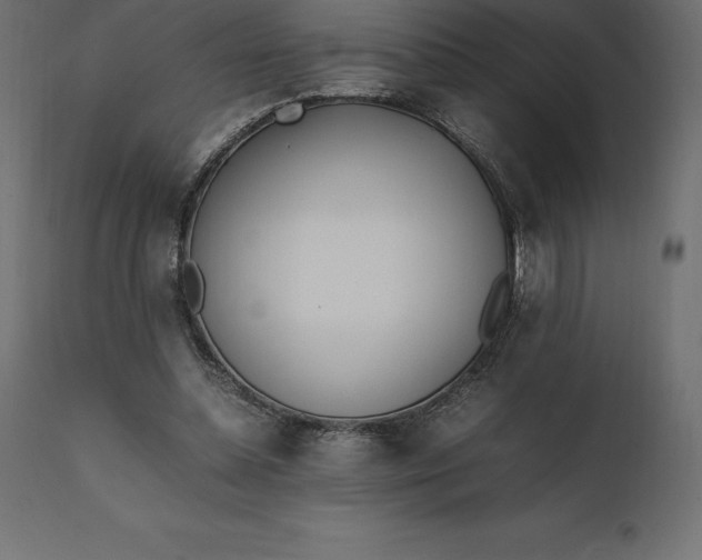 X0000111530348200907281408