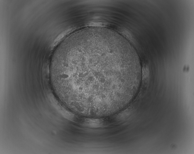 X0000111530349200907281408