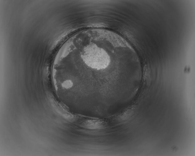 X0000111530351200907281408