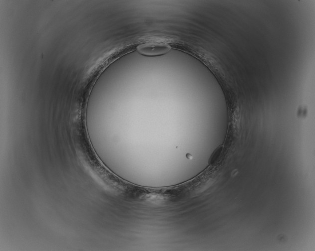 X0000111530352200907281408