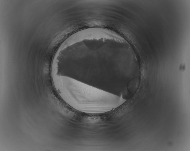 X0000111530353200907281408