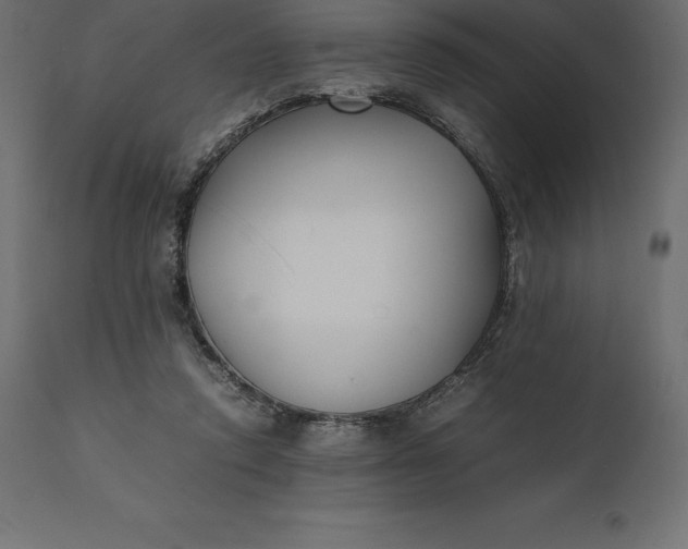 X0000111530354200907281408