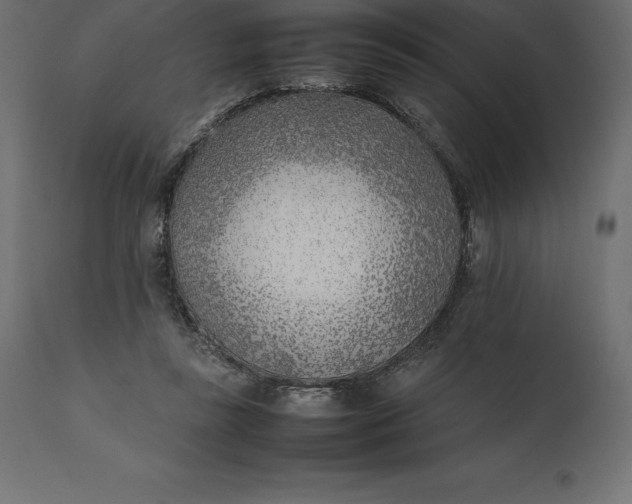 X0000111530355200907281408