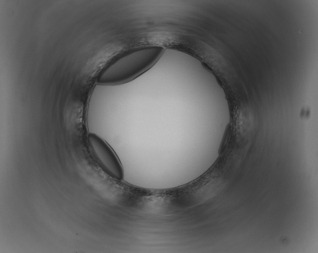 X0000111530356200907281408