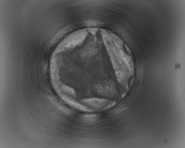 X0000111530357200907281408