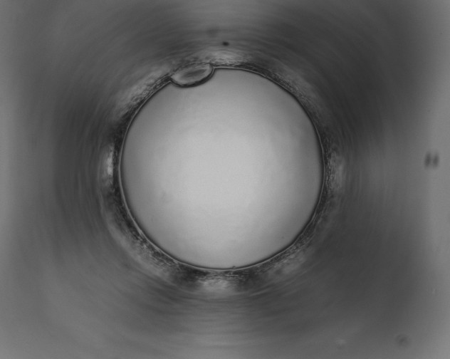 X0000111530358200907281408