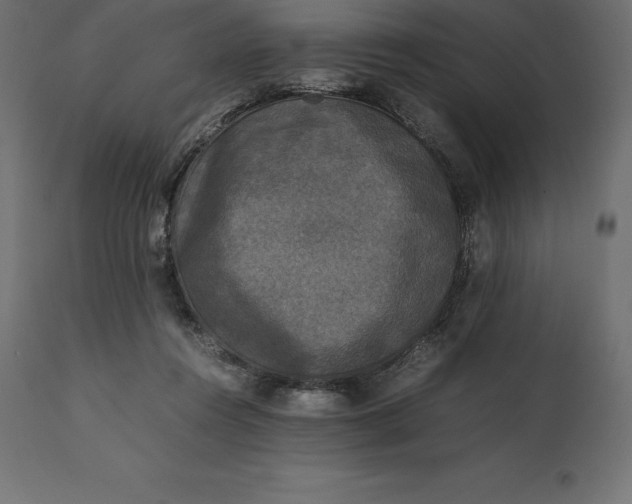 X0000111530360200907281408