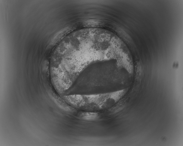 X0000111530361200907281408