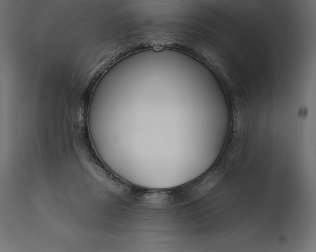 X0000111530362200907281408