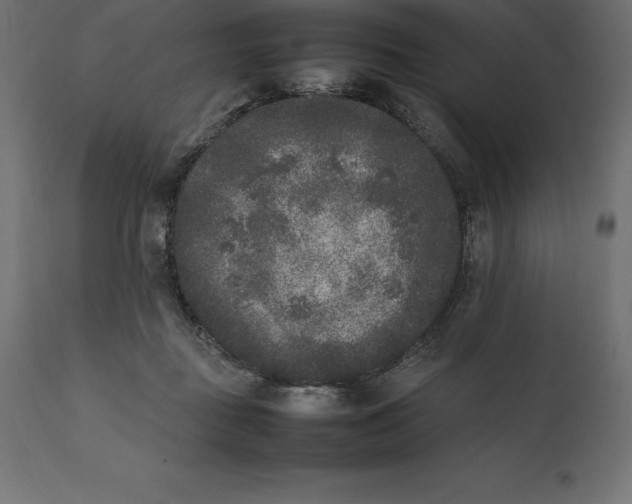 X0000111530363200907281408