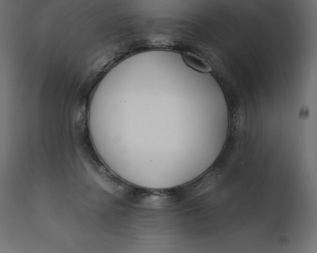 X0000111530364200907281408