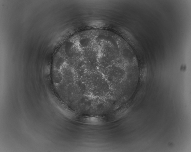 X0000111530365200907281408