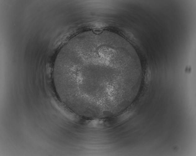 X0000111530366200907281408