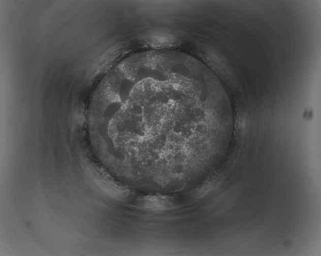 X0000111530367200907281408