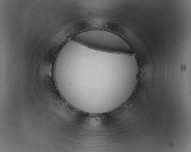 X0000111530368200907281408