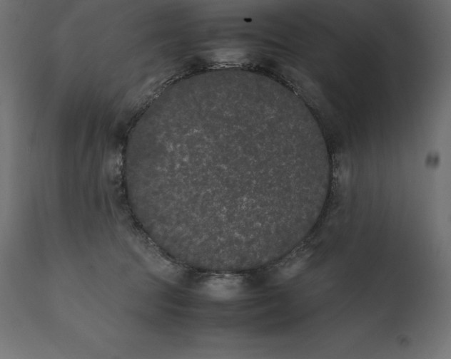 X0000111530369200907281408