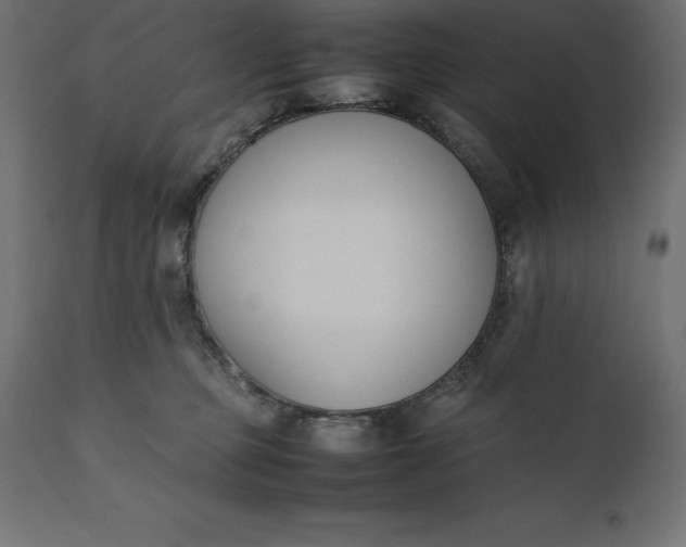 X0000111530373200907281408