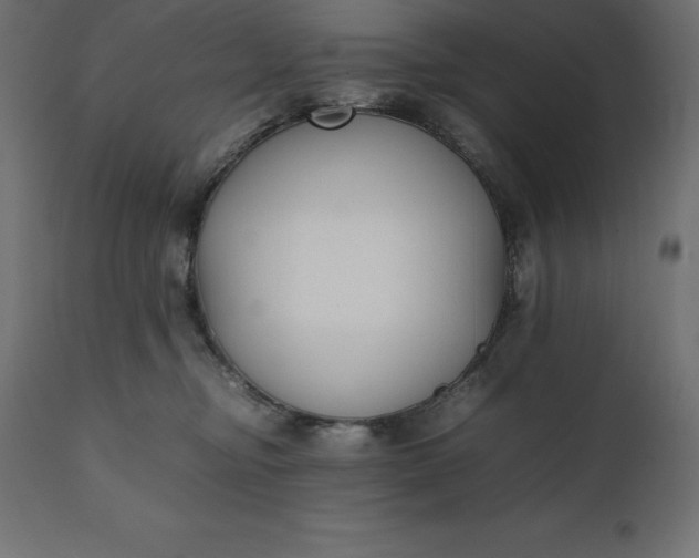 X0000111530374200907281408