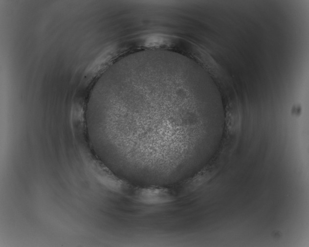 X0000111530375200907281408