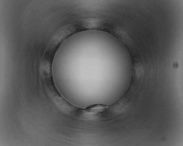 X0000111530380200907281408