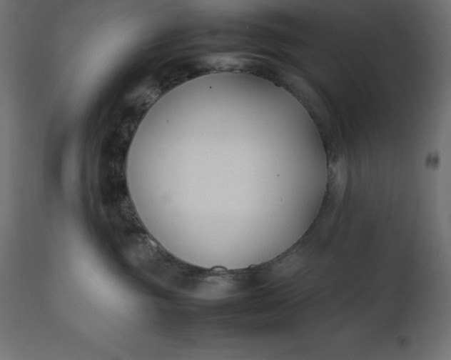 X0000111530381200907281408