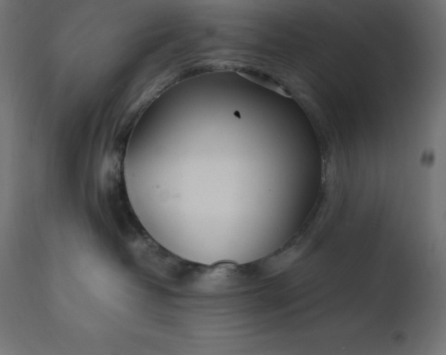 X0000111530382200907281408