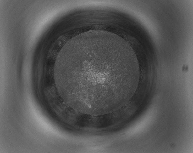 X0000111530383200907281408