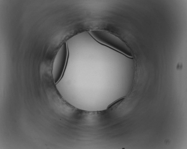 X0000111530384200907281408