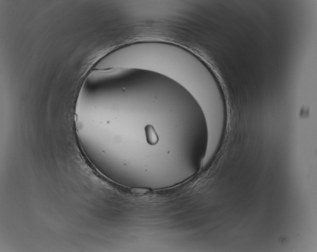 X0000111530385200907281407