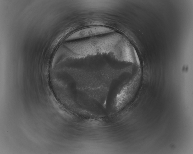 X0000111530386200907281407