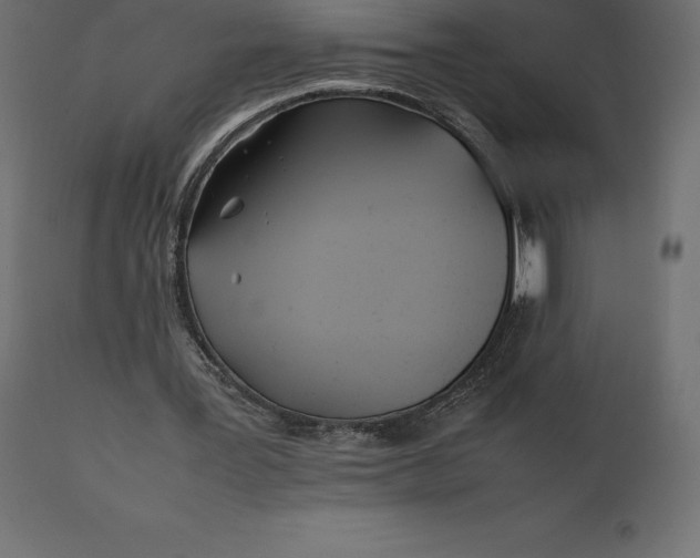 X0000111530387200907281407