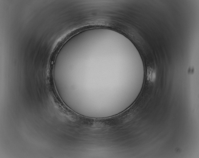 X0000111530388200907281407