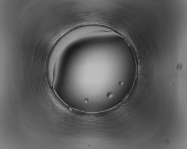 X0000111530389200907281407