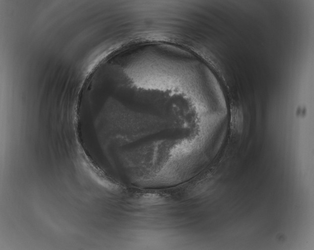 X0000111530390200907281407