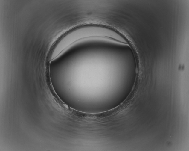 X0000111530391200907281407