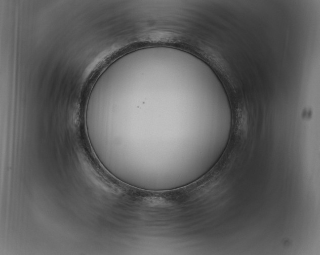 X0000111530392200907281407