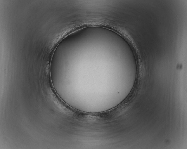 X0000111530393200907281407