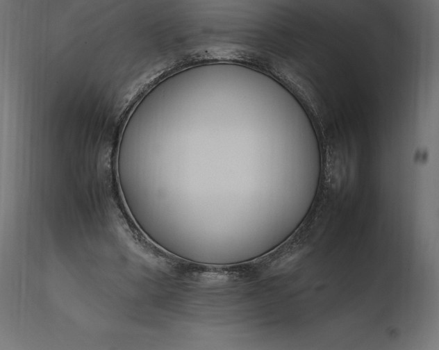 X0000111530394200907281407