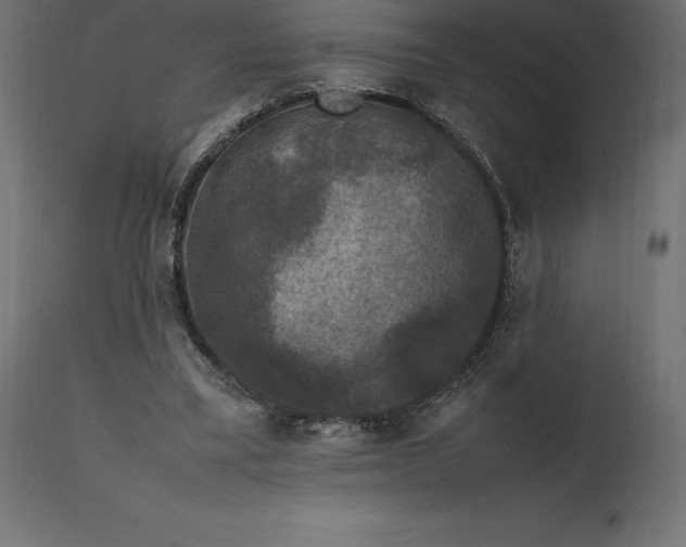 X0000111530395200907281407