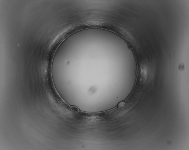 X0000111530396200907281407