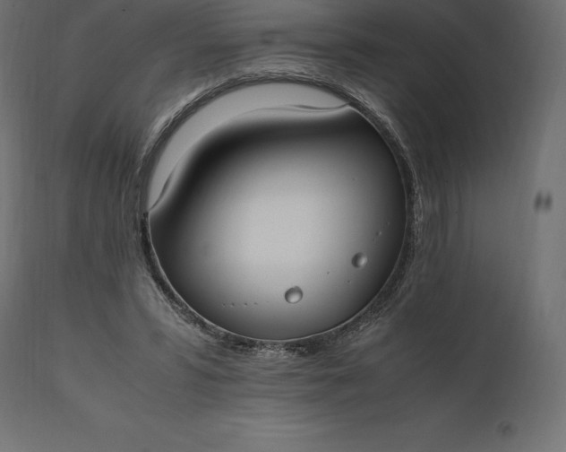 X0000111530399200907281407