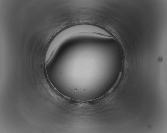 X0000111530401200907281407