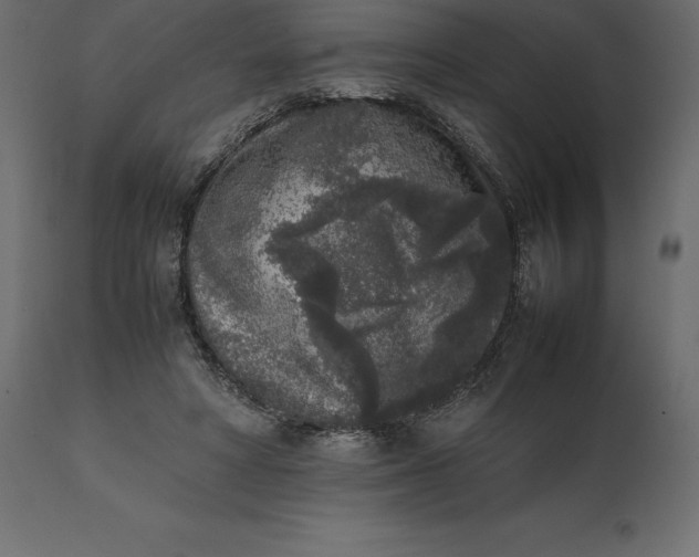 X0000111530402200907281407