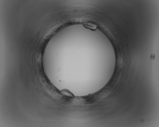 X0000111530403200907281407