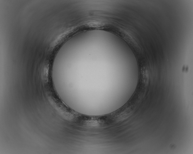 X0000111530404200907281407