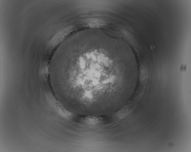 X0000111530405200907281407