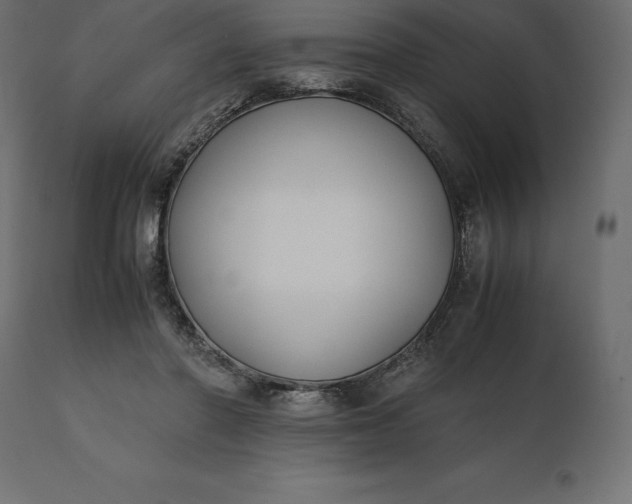 X0000111530406200907281407