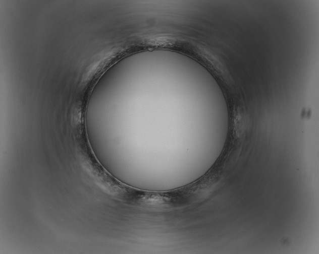 X0000111530407200907281407