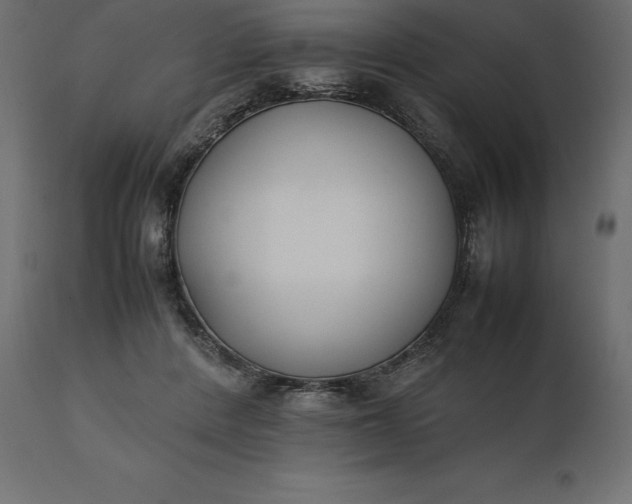 X0000111530408200907281407